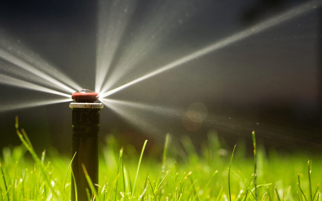 irrigation