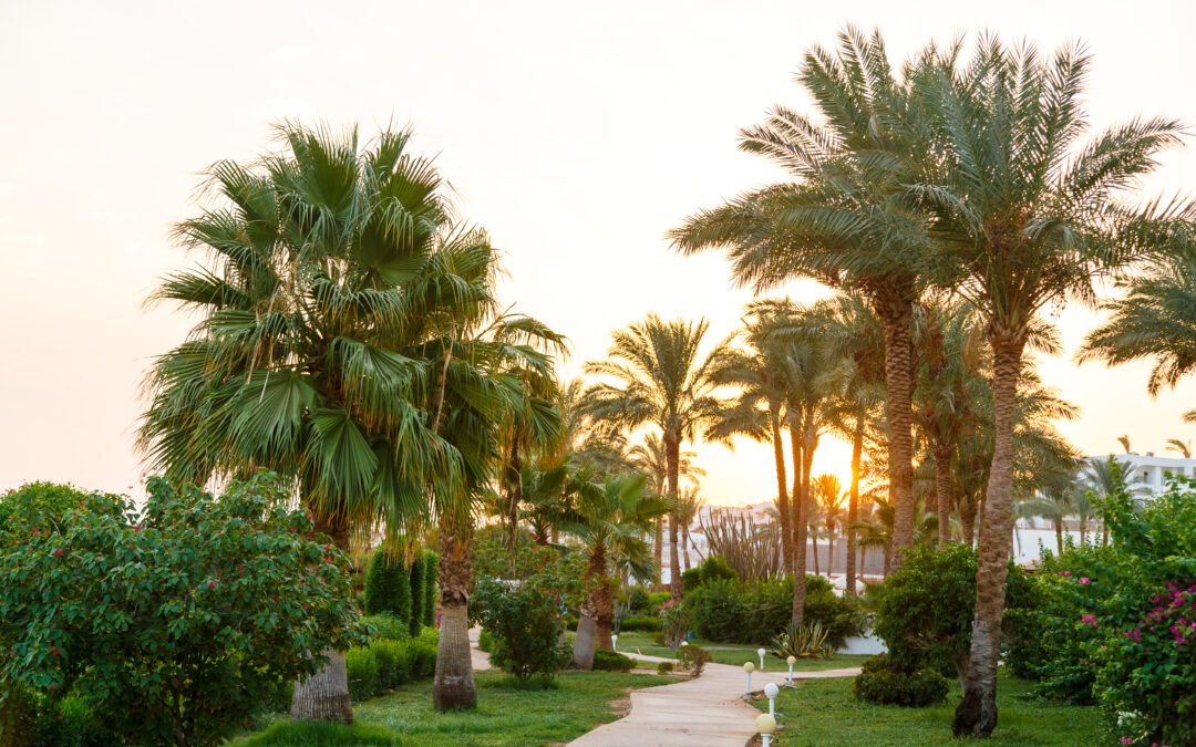 Transform Your Outdoor Oasis: Finding the Best Landscaping Companies Near You