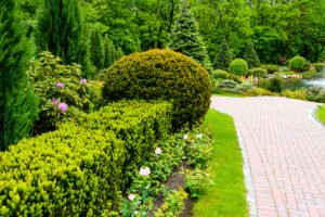 evergreen landscape fl