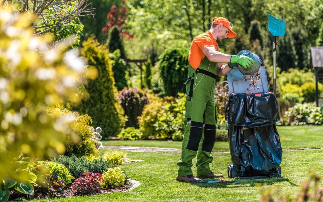 Professional Landscape Services: Your Guide to Yard Cleanups Near Me