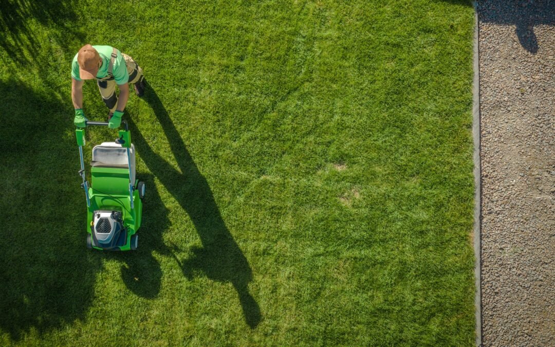 Affordable Lawn Care Near Me: Pricing Guide & Tips for Choosing the Best Service