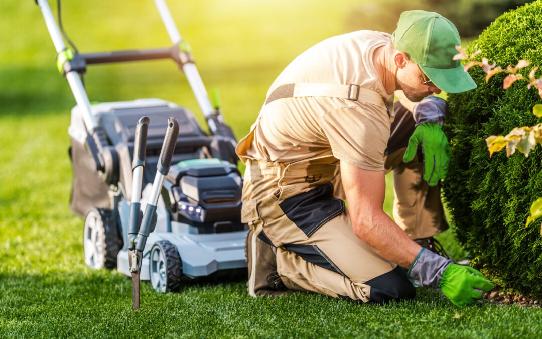 Lawn maintenance near me