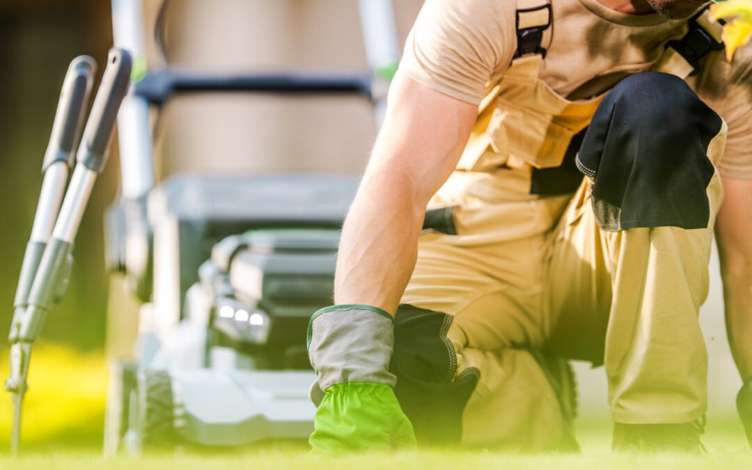 lawn mower services near me