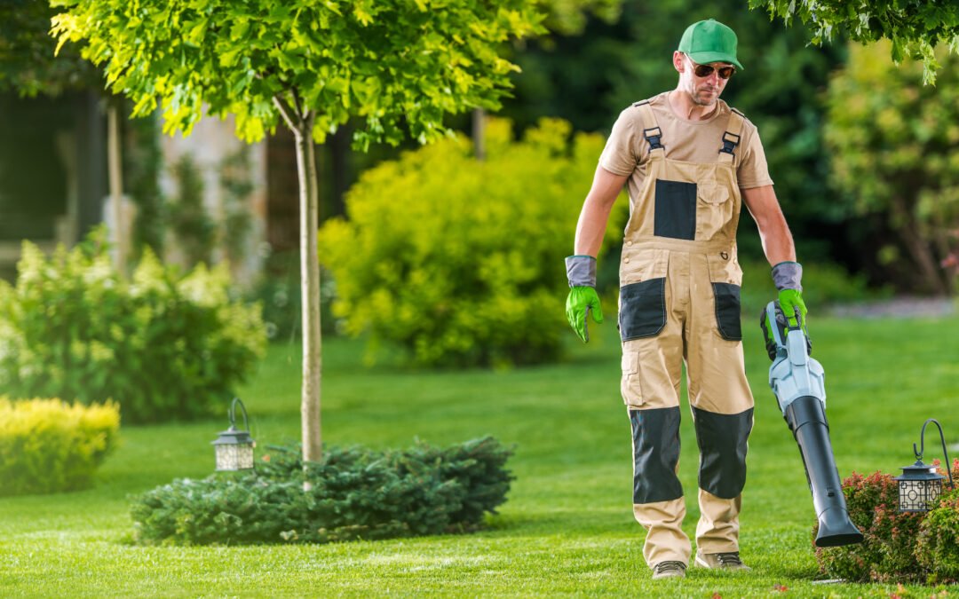 yard care service near me