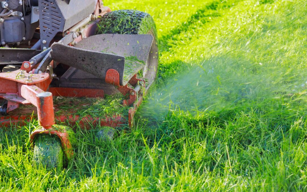 Reliable Lawn Mowing Service Near You – Evergreen Landscape FL