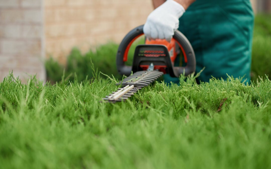 Yard and Lawn Maintenance Made Simple with Evergreen Landscape FL