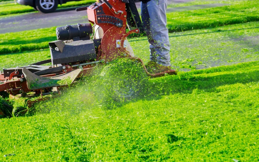 Professional Lawn Grass Cutting Service Near You | Evergreen Landscape FL